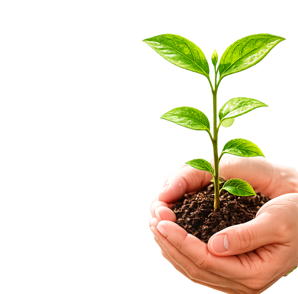 Responsible and sustainable healthcare approach